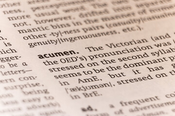 Dictionary definition of the word acumen