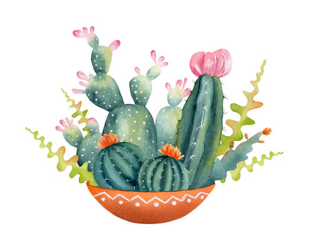 Watercolor hand painted composition of green cactuses in a clay pot. Clipart illustration of houseplant succulent for design background, web template, digital paper, home decor, botanical print.