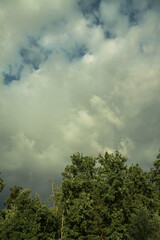 Beautiful summer landscape of nature countryside. Green vegetation of grass and trees with hills. Stock photo for design