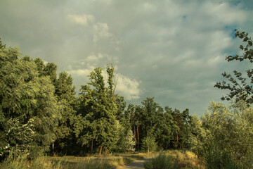 Beautiful summer landscape of nature countryside. Green vegetation of grass and trees with hills. Stock photo for design