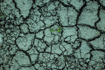 dry cracked earth