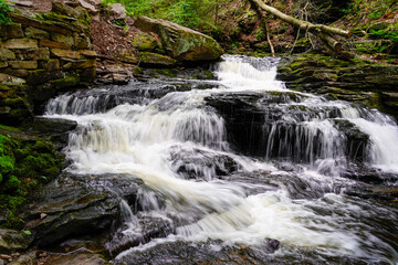 Cascading waterfall going multiple ways. down stream.  Rickett's Glen State Park in Pennsylvania.