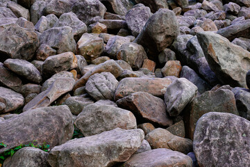 Fototapeta na wymiar Boulder field located in the Hickory Run State Park in Pennsylvania. Large, natural boulders.