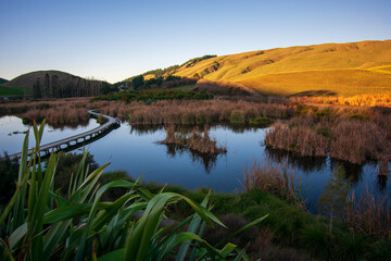 Wetlands during the sunset, Hawke's Bay