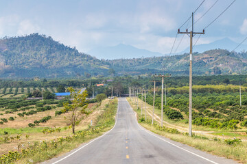 Fototapeta na wymiar country road in the mountains