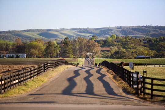 Country road with fenced pastures on each side and rippled cast shadow on road