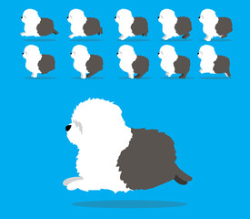 Animal Animation Sequence Dog Old English Sheepdog Cartoon Vector