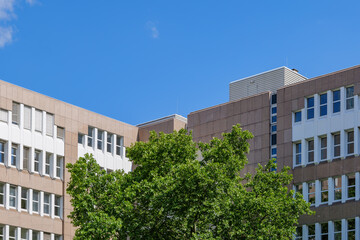 Outdoor sunny view of treetop at the courtyard, square or plaza surrounded with typical modern office building against blue sky.