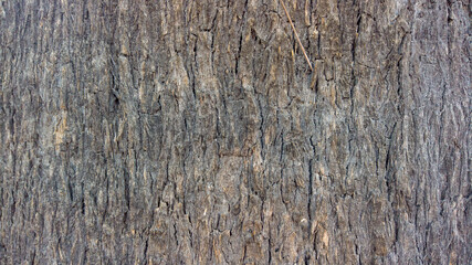textura de madera rugosa
