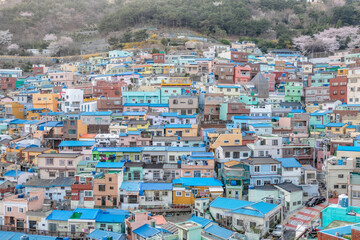 View of Gamcheon Culture Village, Busan, South Korea.