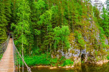 Green forest in spring on the river Bank. River among the mountains covered with forest.