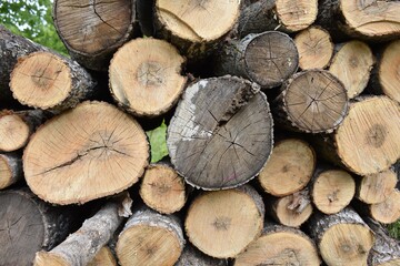 stack of log firewood 