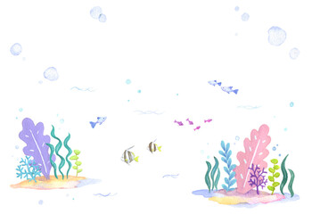 水彩　イラスト  魚　海藻　海
