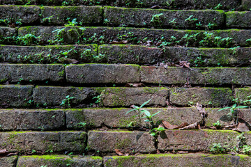 Old brick wall with natural green moss and beautiful light and shadow for wallpaper background