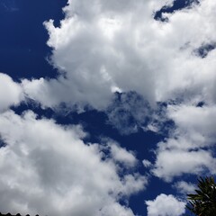 blue sky with clouds