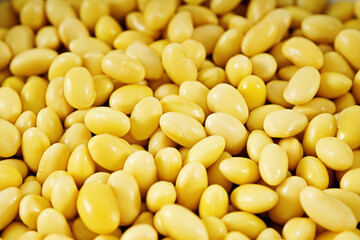 beans isolated on white background