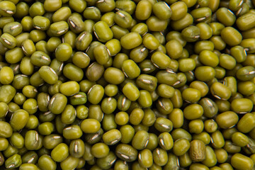 Shoot mung beans up close