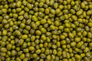 Shoot mung beans up close