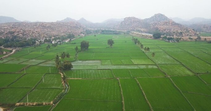 Scenic View Of Farmland With Growing Crops In Hampi, Karnataka, India - aerial