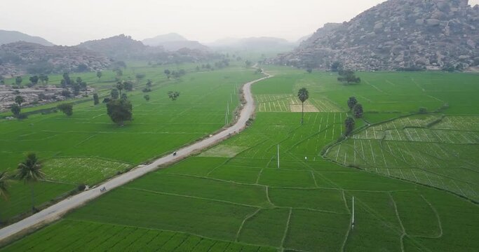 Narrow Trail Between Green Farm In Hampi, India - aerial drone