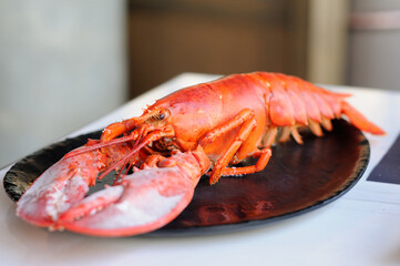 Steamed Lobster on a Plate