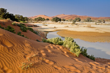 Sand dunes at Sossusvlei, Namib-Naukluft Park, Namibia