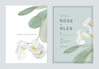 Floral wedding invitation card template design, white plumeria flowers  with leaves on bright green and white - obrazy, fototapety, plakaty