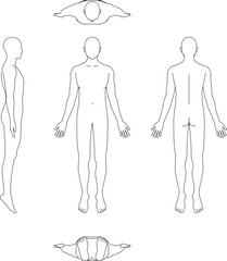 人体のイラスト。男性の略図