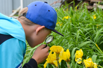 Caucasian child explores the environment with the help of a magnifying glass. A boy watches insects...