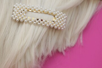  pearl hair clips on blond hair close-up. fashionable hair accessories. Hairpin with pearls on a  pink background.Different hairpin accessories .	