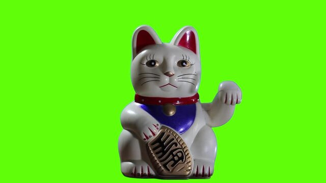 Fortune Cat over Green Background. Close-Up. You can replace green background with the footage or picture you want. You can do it with “Keying” effect in After Effects.