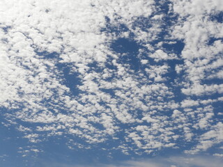 Fototapeta premium うろこ雲