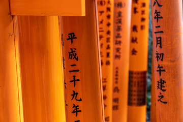Fushimi Inari Shrine in Tokyo