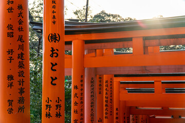 Fushimi Inari Shrine in Tokyo