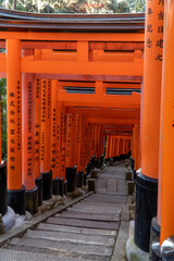 Fushimi Inari Shrine in Tokyo