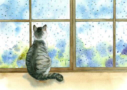 A cat staring at the outside of the window on a rainy day