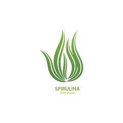 Spirulina seaweed leaf logo illustration © AWK studio