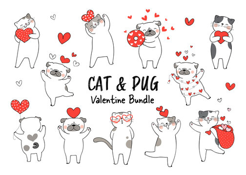 Draw character cat and pug dog fall in love for Valentine day.