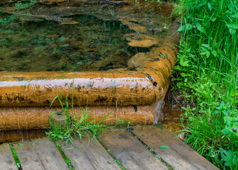 landscape with a wooden structure for collecting spring water, the tree is stained yellow from the high iron content in the spring water