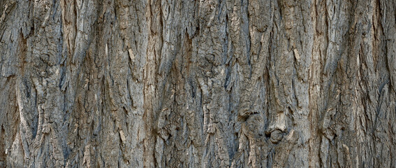 banner of coarse wooden bark pattern for background