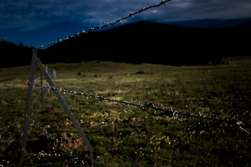 barbed wire fence in the field