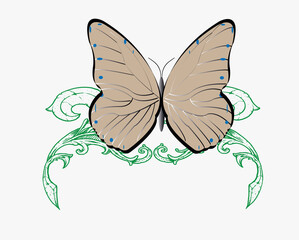 a beautiful vector of butterflies in flight