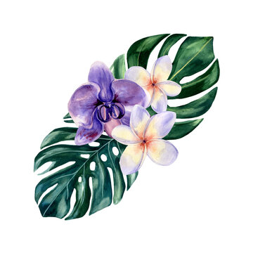 watercolor tropical flowers and leaves arrangement clip art preview
