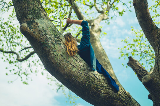 Young woman lying on a branch of an ash tree