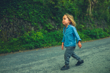Little preschooler walking on countryside road