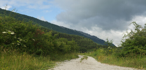 landscape in the mountains
