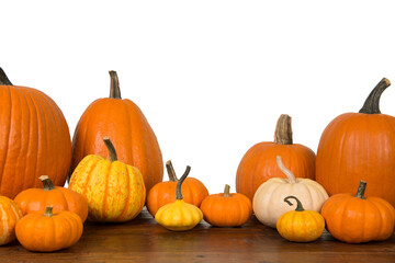 Group of orange pumpkins on a white background with copy space