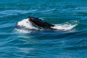 Humpback whale feeding on krill, Atlantic Ocean, South Africa.