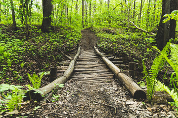 old wooden bridge over a small ditch in the spring forest