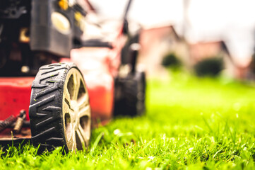 Lawn mower cut grass. Garden work. Electric Rotary lawn mower machine